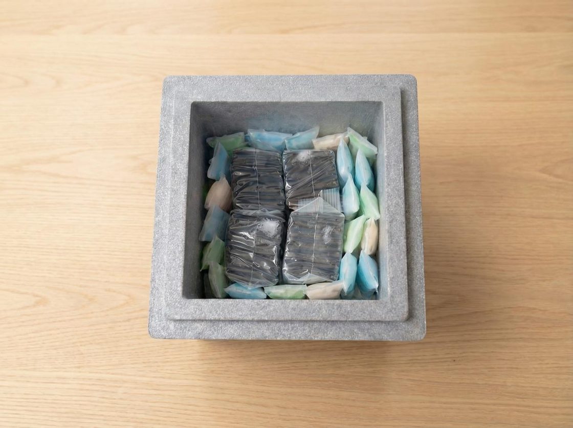 Greespi thermobox with cooling packs — real food, real care